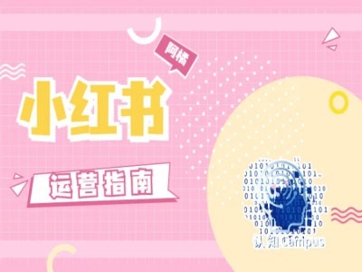 小红书运营手册，无套路，都是工作经验-9527素材资源站