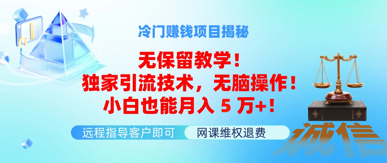 （11864期）冷门赚钱项目无保留教学！独家引流技术，无脑操作！小白也能月入5万+！-9527素材资源站