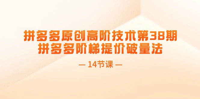 拼多多平台原创设计高级技术性第38期，拼多多平台台阶涨价破量法（14堂课）-9527素材资源站