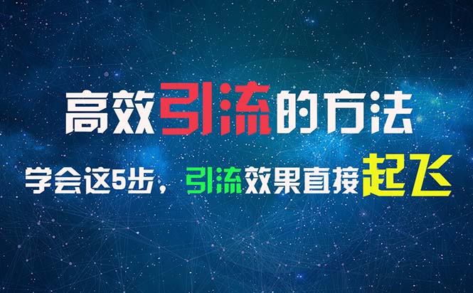 （11776期）高效率引流的方法，能够帮助你日引300 自主创业粉，一年轻轻松松收益30万，比工作强-9527素材资源站
