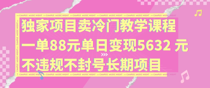 独家代理新项目卖小众教学内容一单88元单日转现5632元违反规定防封号长期项目【揭密】-9527素材资源站