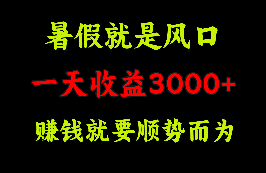 （11670期）一天收益3000+ 赚钱就是顺势而为，暑假就是风口-9527素材资源站