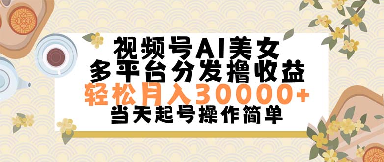 （11684期）视频号AI美女，轻松月入30000+,操作简单轻松上手-9527素材资源站