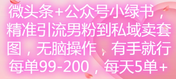 头条 微信公众号小绿书，精准引流方法粉丝到公域卖套图，没脑子实际操作，有手就行，每一单99-200，每日5单-9527素材资源站