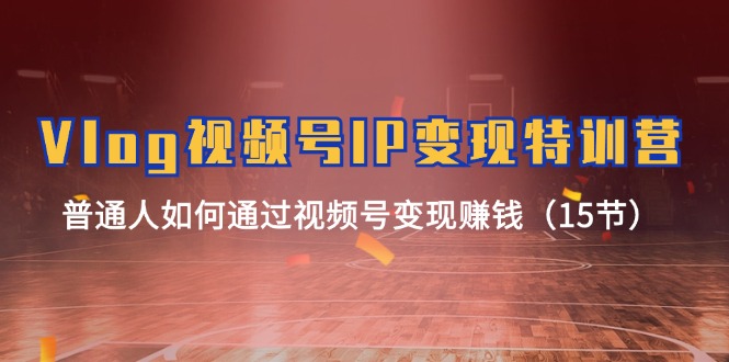 （11654期）Vlog 视频号IP变现特训营，普通人如何通过视频号变现赚钱（15节）-9527素材资源站