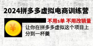（12024期）2024拼多多虚拟电商训练营 不s单 不改销量  做虚拟项目分一杯羹(更新10节)-9527素材资源站
