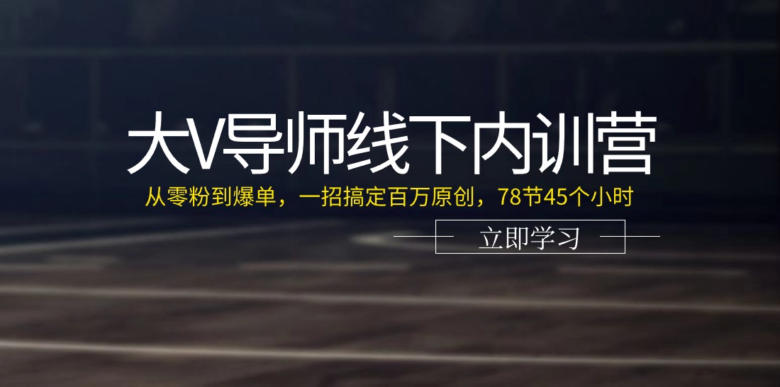 大V老师线下推广内部培训营：从零粉到打造爆款，一招解决上百万原创设计（78节45小时）-9527素材资源站