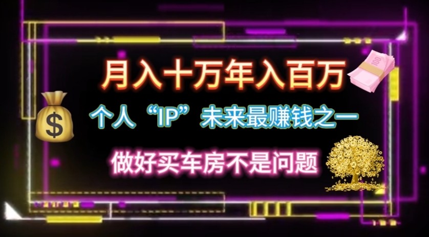 本人“ip”月入10w，年收入100w-9527素材资源站