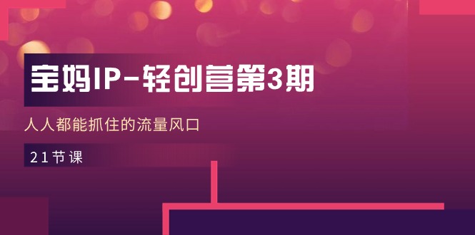 宝妈IP轻创营第3期，人人都能抓住的流量风口（21节课）-9527素材资源站