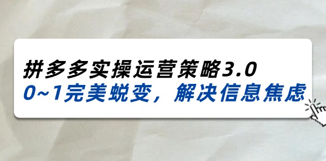 （11658期）2024_2025拼多多平台实际操作运营战略3.0，0~1华丽蜕变，处理信息焦虑（38节）-9527素材资源站