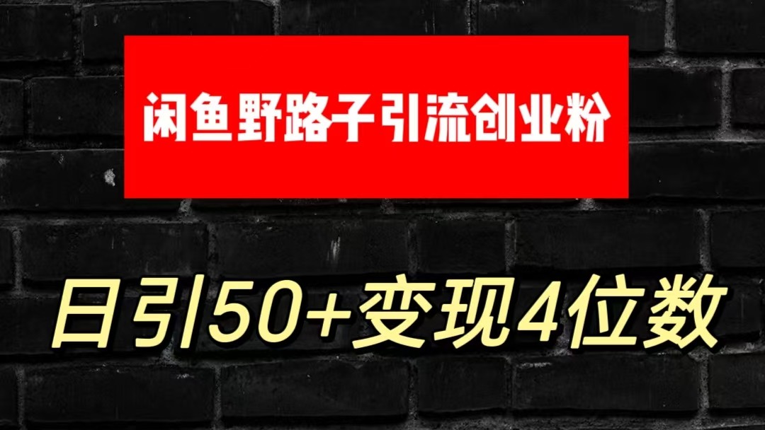 大眼闲鱼野路子引流创业粉，日引50+单日变现四位数-9527素材资源站