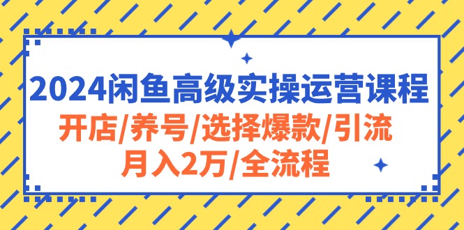 2024闲鱼高级实操运营课程：开店/养号/选择爆款/引流/月入2万/全流程-9527素材资源站