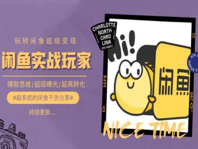 教你如何0到1系统软件轻松玩闲鱼平台转现，爆品逻辑思维/非常曝出/极高转换-9527素材资源站