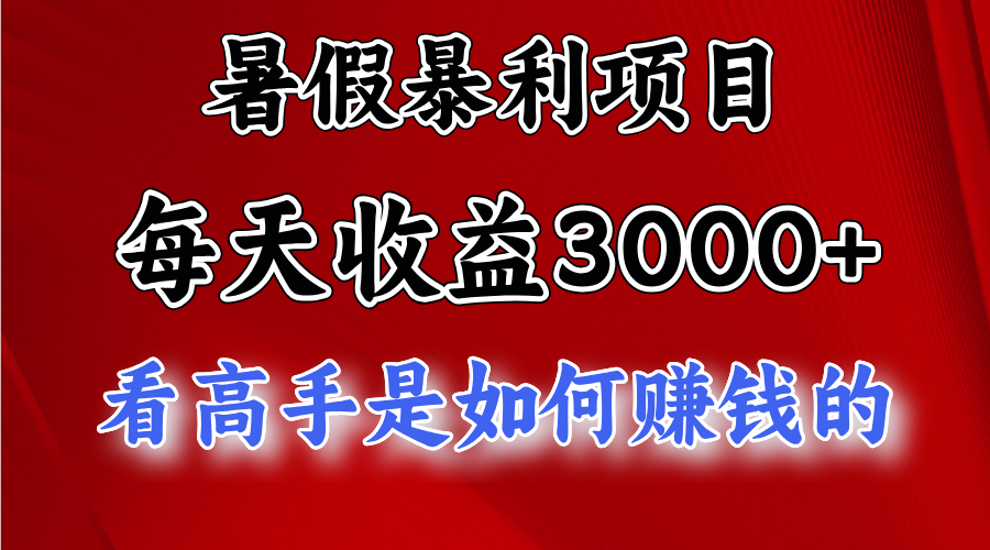 （11422期）暑期赚钱项目，每日盈利3000  加把劲可以达到5000 ，暑期大流量来了-9527素材资源站