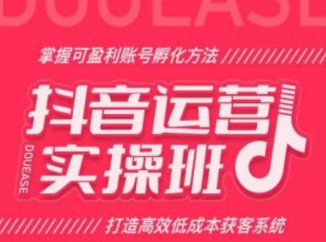 自媒体运营实际操作班，把握可赢利账户卵化方式，打造高效降低成本获客软件-9527素材资源站