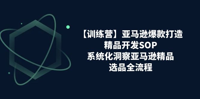（11210期）【训练营】亚马逊爆款打造之精品开发SOP，系统化洞察亚马逊精品选品全流程-9527素材资源站