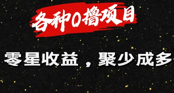 各种各样0撸新项目零星盈利，聚少成多-9527素材资源站