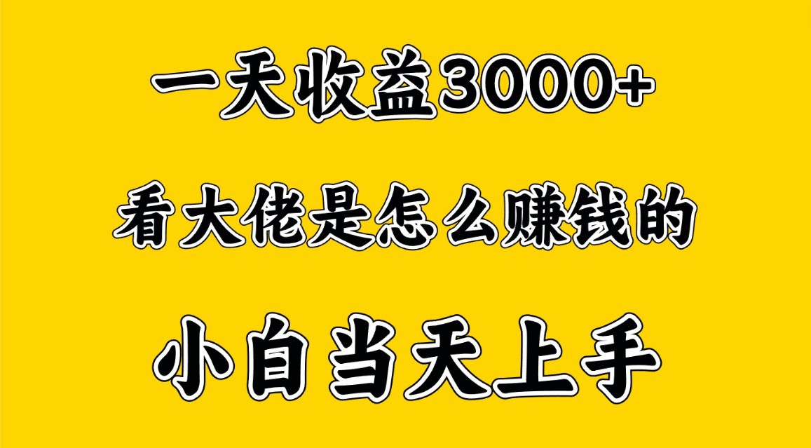 一天赚3000多，大佬是那样赚大钱的，新手当日入门，穷人翻身新项目-9527素材资源站