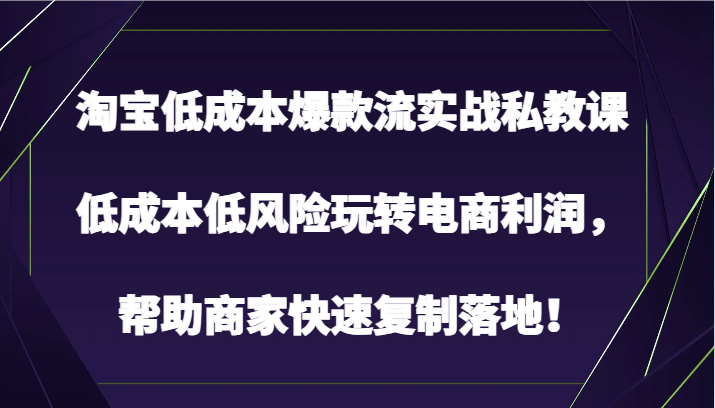 淘宝网降低成本爆品流实战演练私教，降低成本中低风险轻松玩电子商务盈利，帮助企业快速复制落地式！-9527素材资源站