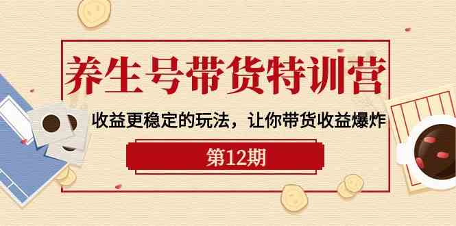 健康养生号卖货夏令营【12期】盈利更稳定的游戏玩法，使你卖货盈利发生爆炸（9节视频课堂）-9527素材资源站