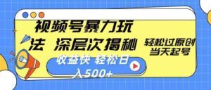 【视频号分成计划】，热点娱乐赛道，暴力涨粉+分成，日入500+，0门槛，适合新手，宝妈操作-9527素材资源站