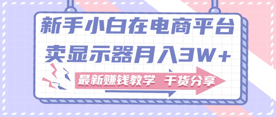 （11053期）新手入门怎样做到在电商平台卖显示屏月入3W ，最新赚钱课堂教学满满干货-9527素材资源站