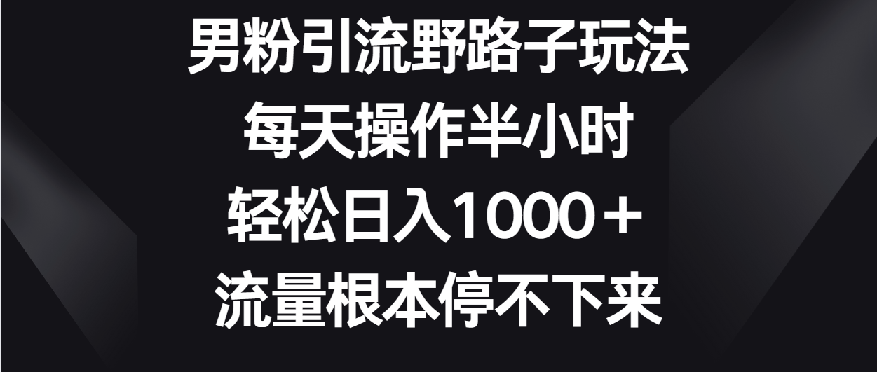 粉丝引流方法歪门邪道游戏玩法，每日实际操作三十分钟轻轻松松日入1000＋，总流量停不下来-9527素材资源站