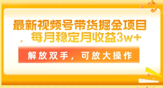 全新视频号带货掘金队新项目，每月平稳月盈利1w ，解锁新技能，可变大实际操作-9527素材资源站