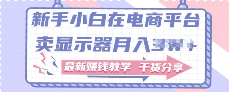 新手入门怎样做到在电商平台卖显示屏，最新赚钱课堂教学满满干货-9527素材资源站
