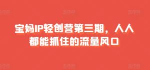 宝妈妈IP轻创营第三期，人人都可以抓住的总流量出风口-9527素材资源站