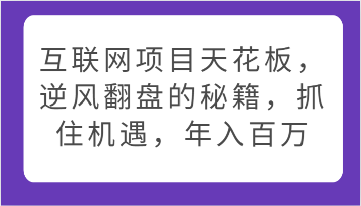 网络项目吊顶天花板，让二追三的秘笈，把握机遇，年收入百万-9527素材资源站