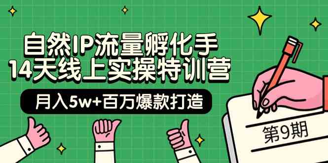 当然IP总流量卵化手14无线天线上实际操作夏令营【第9期】月入5w 上百万爆款打造 (74节)-9527素材资源站