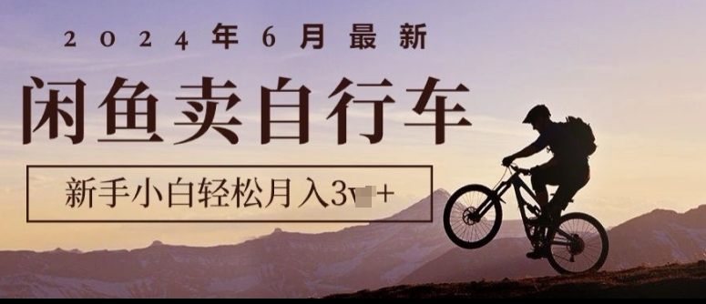 2024年6月全新淘宝闲鱼单车，新手入门轻轻松松月收入1w ，零风险新项目-9527素材资源站