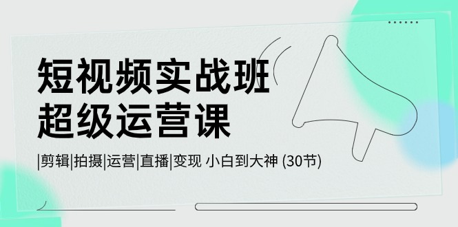 （10836期）小视频实战演练班-非常运营课，|视频剪辑|拍照|运作|直播间|转现 新手到高手 (30节)-9527素材资源站