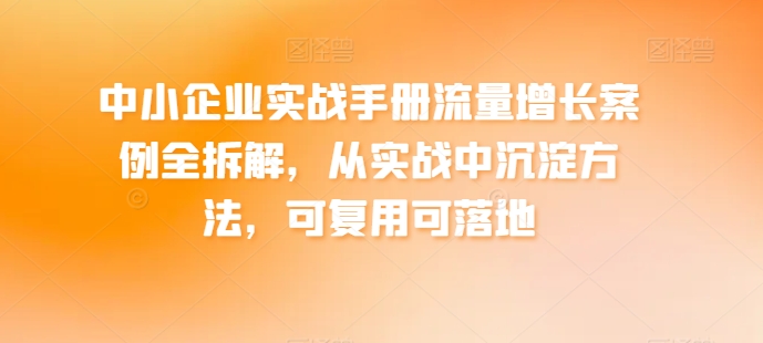 中小型企业实战演练指南流量增长实例全拆卸，从训练中沉积方式，复用可落地式-9527素材资源站