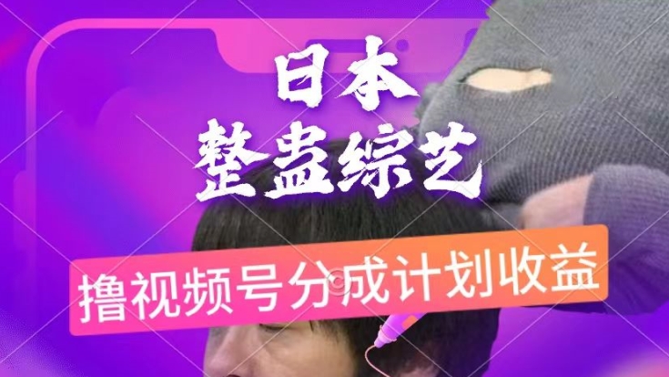 日本搞恶综艺节目，撸视频号分为方案盈利，每天只需一小时，新手入门快速上手-9527素材资源站