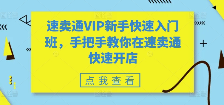 全球速卖通VIP初学者快速上手班，教你如何在全球速卖通迅速开实体店-9527素材资源站