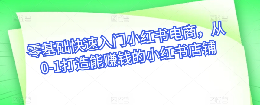 零基础快速入门小红书电商，从0-1打造能赚钱的小红书店铺-9527素材资源站