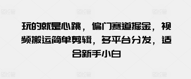 玩的就是心跳，偏门赛道掘金，视频搬运简单剪辑，多平台分发，适合新手小白【揭秘】-9527素材资源站