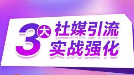 3大社交媒体引流方法实战演练加强，多种渠道站外引流，高效率营销获客，订单信息销售总额翻倍增长-9527素材资源站