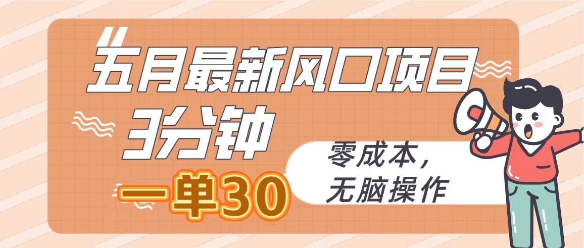（10256期）五月全新蓝海项目，3min一单30，零成本，没脑子实际操作-9527素材资源站