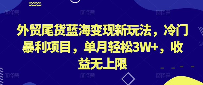 外贸尾货蓝海变现新玩法，冷门暴利项目，单月轻松3W+，收益无上限【揭秘】-9527素材资源站