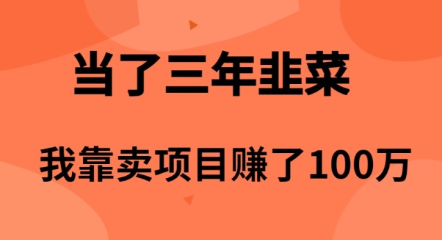 （10149期）当上3年韭莱，卧槽卖项目挣了100万-9527素材资源站