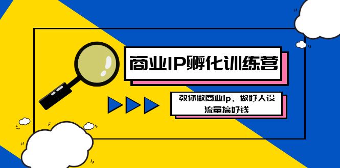 商业服务IP卵化夏令营新版本，手把手带你商业服务Ip，搞好人物关系，总流量做好钱-9527素材资源站