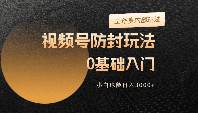 （10107期）2024微信视频号更新封号游戏玩法，零基础入门，新手也可以日入3000-暖阳网-蓝悦网,福缘网,冒泡网资源整合-9527素材资源站
