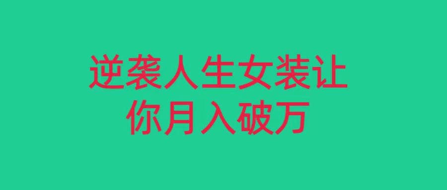 小红书的品牌女装无货源电商月入了万，只要肯努力便会有成果！-9527素材资源站