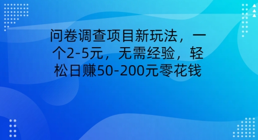 问卷调研新项目新模式，一个2-5元，无需经验，轻轻松松日赚50-200元零花钱-9527素材资源站