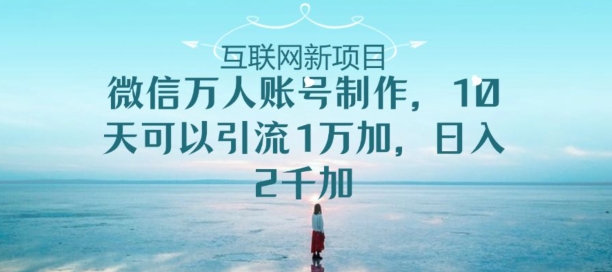 手机微信数万人账户制做，10天可以引流方法1万加日入2千加-9527素材资源站