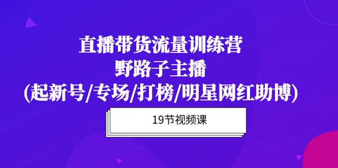 （10016期）直播卖货总流量夏令营，歪门邪道网络主播(起小号/盛典/冲榜/明星网红助博)19堂课-9527素材资源站