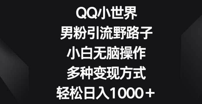 QQ小世界男粉引流野路子，小白无脑操作，多种变现方式轻松日入1000+-9527素材资源站